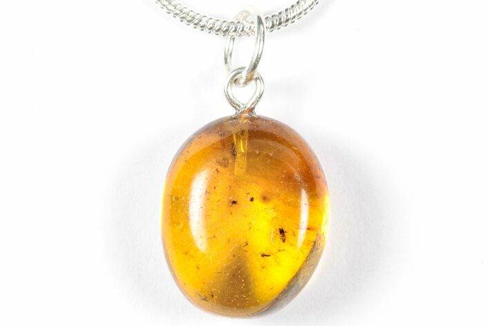 Polished Baltic Amber Pendant (Necklace) - Contains Flies! #358016